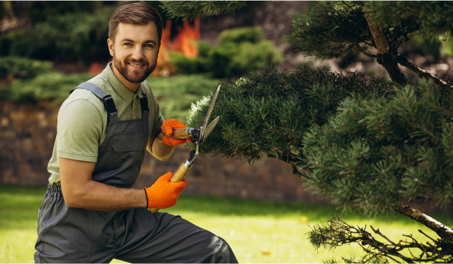gardening-and-lawn